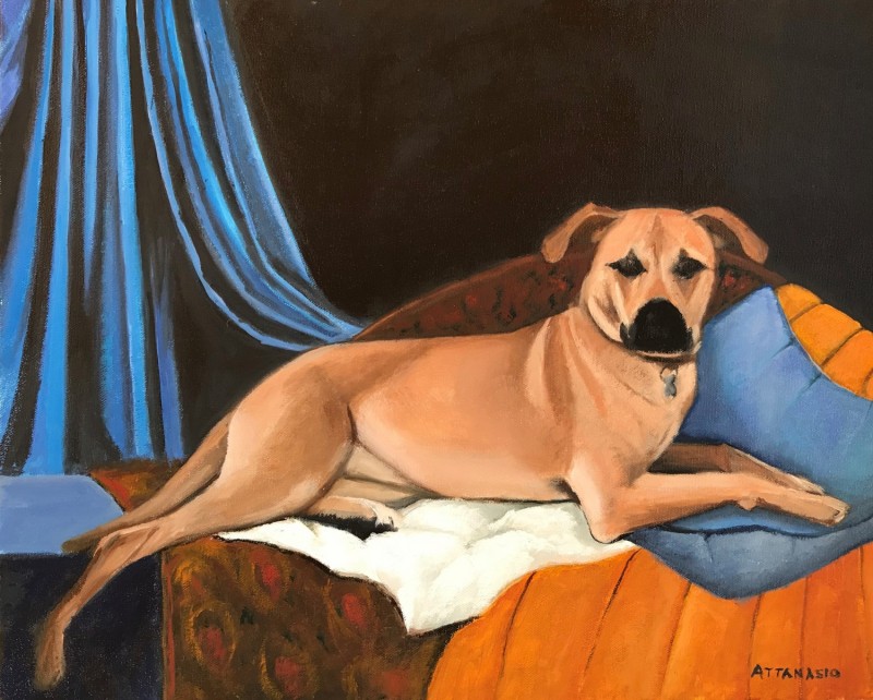 dog reclining on furniture with drapery