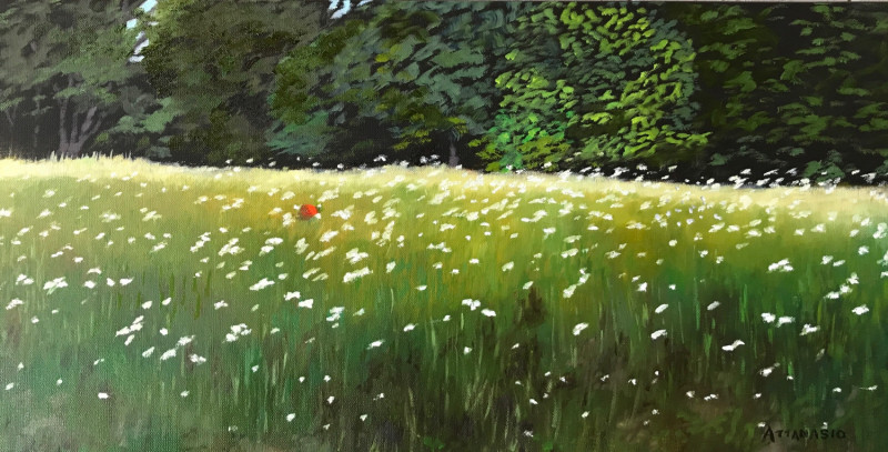 Field of daisies near forest, with red ball